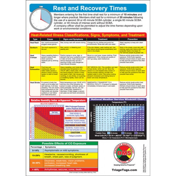 FDSF (36-42) – Re-Sol (Rehabilitation & Solutions)