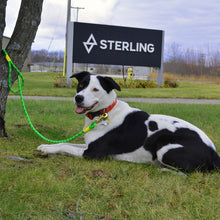 Load image into Gallery viewer, STERLING DOG LEASH